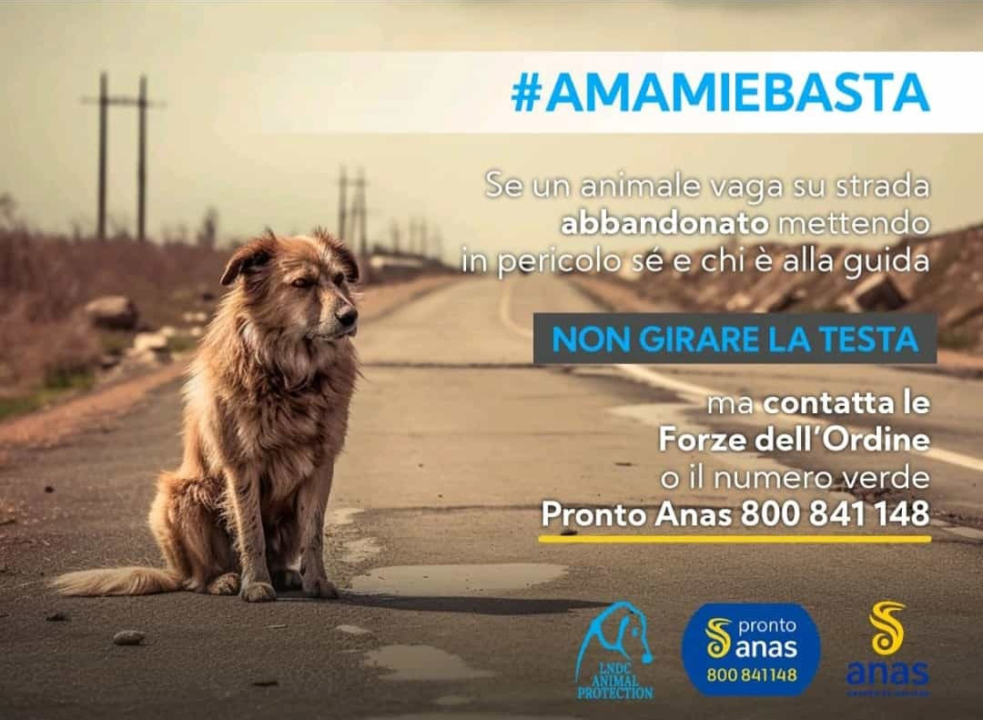 #AMAMIEBASTA