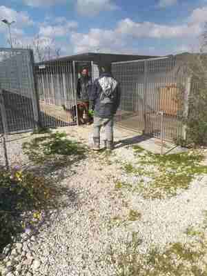 Lega del cane Adelfia