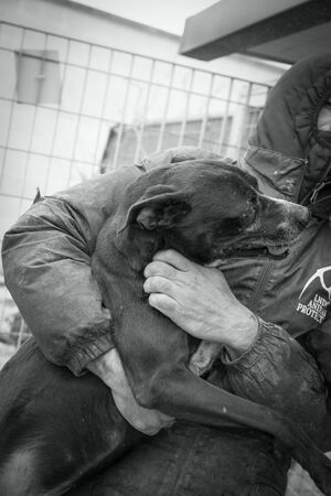 Lega del cane Adelfia (2021)
