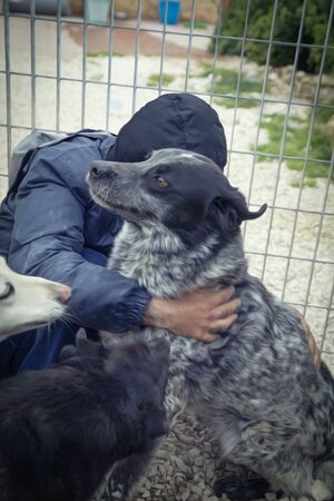 Lega del cane Adelfia (2021)