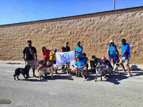 Le passeggiate con i cani (2023)