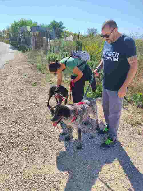 Le passeggiate con i cani (2023)