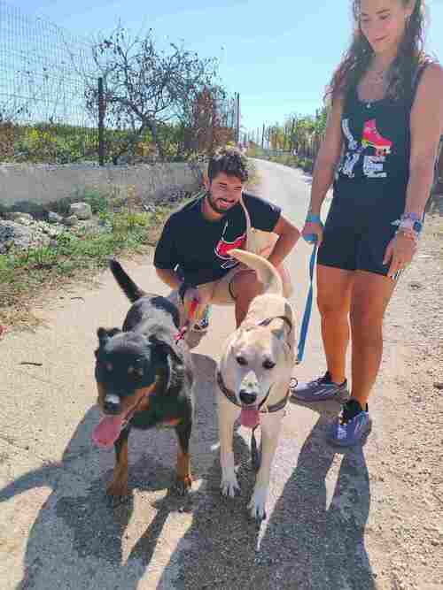 Le passeggiate con i cani (2023)