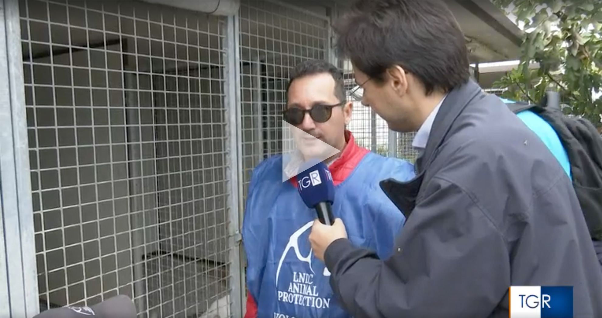 Pablo cerca casa, scatta l'appello per il cucciolone di Adelfia